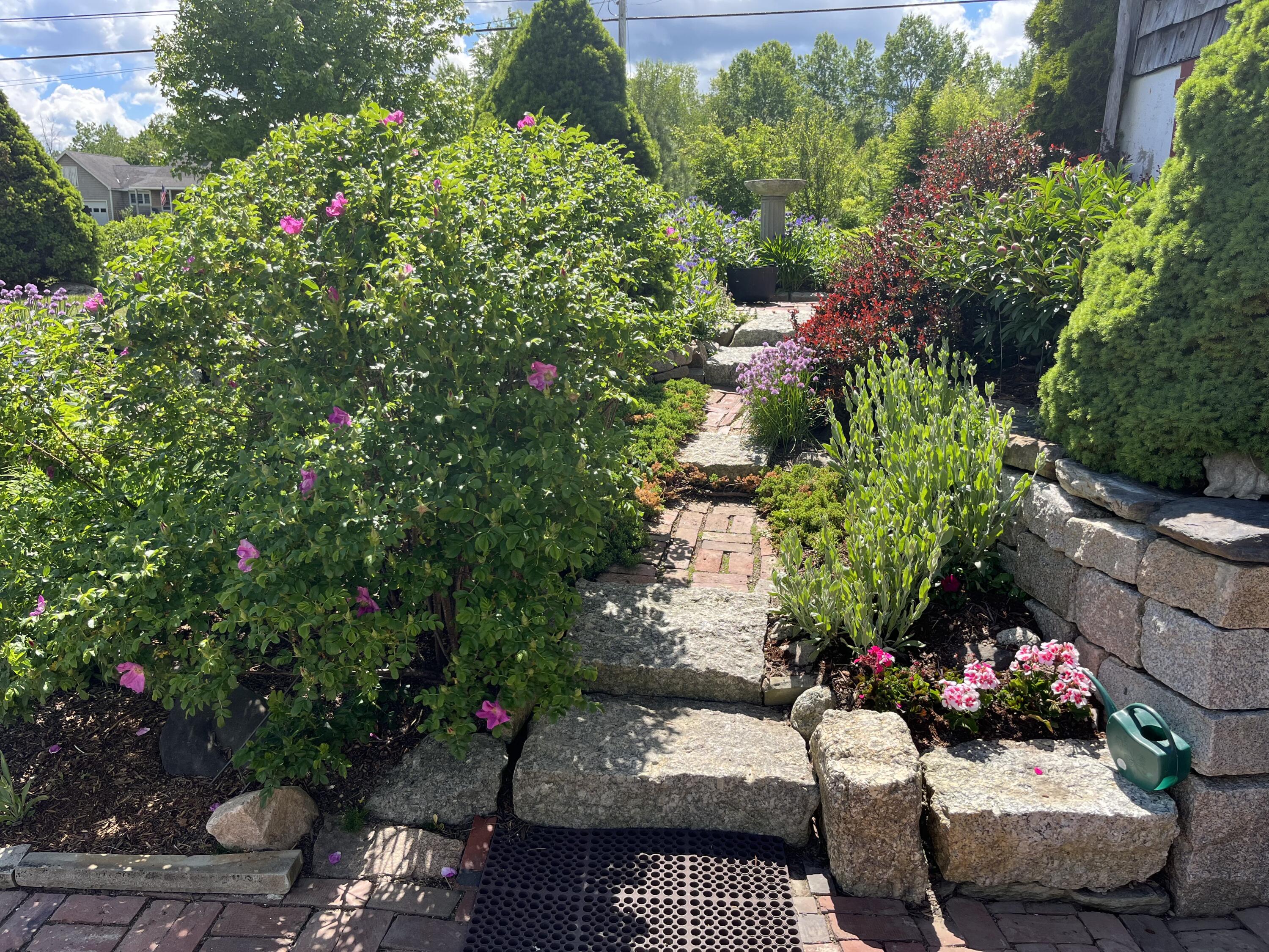 37 Patriot Road Ellsworth, ME 04605 - Photo 57 of 65 Landscaping