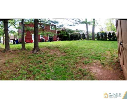 66 East Cliff Road Colonia, NJ 07067 - Photo 17 of 18 a view of a park with large trees