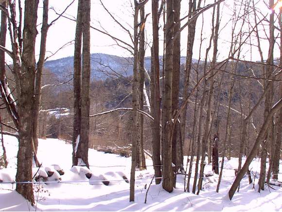 390 Forsha Road Pittsfield, VT 05762 - Photo 1 of 1