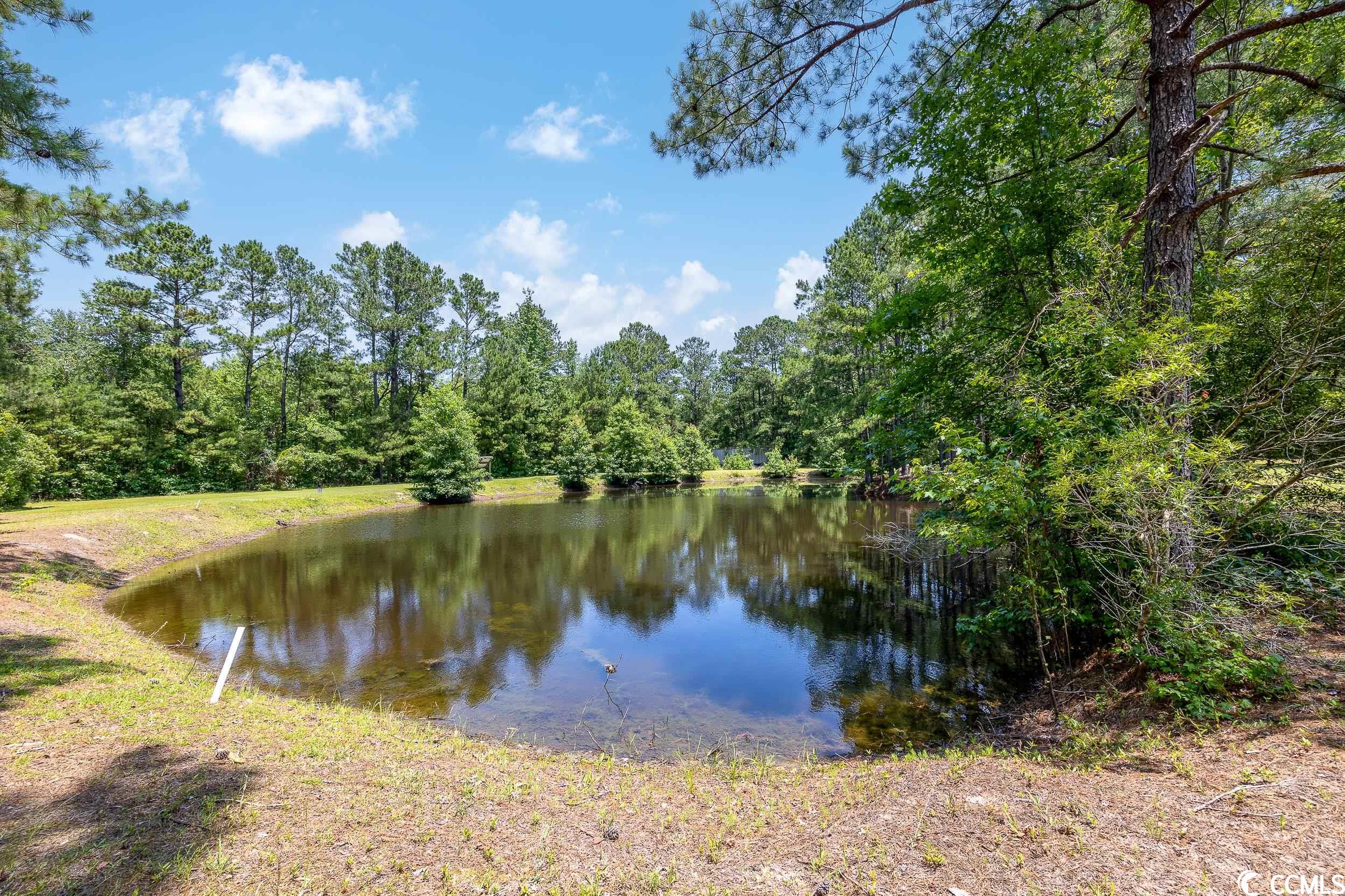 381 St Ives Road Longs, SC 29568 - Photo 35 of 40