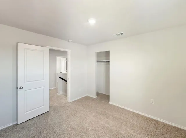 a view of a backyard with plants and large tree