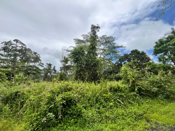 $18,000 | 146 Lehua Road, Pahoa, HI 96778