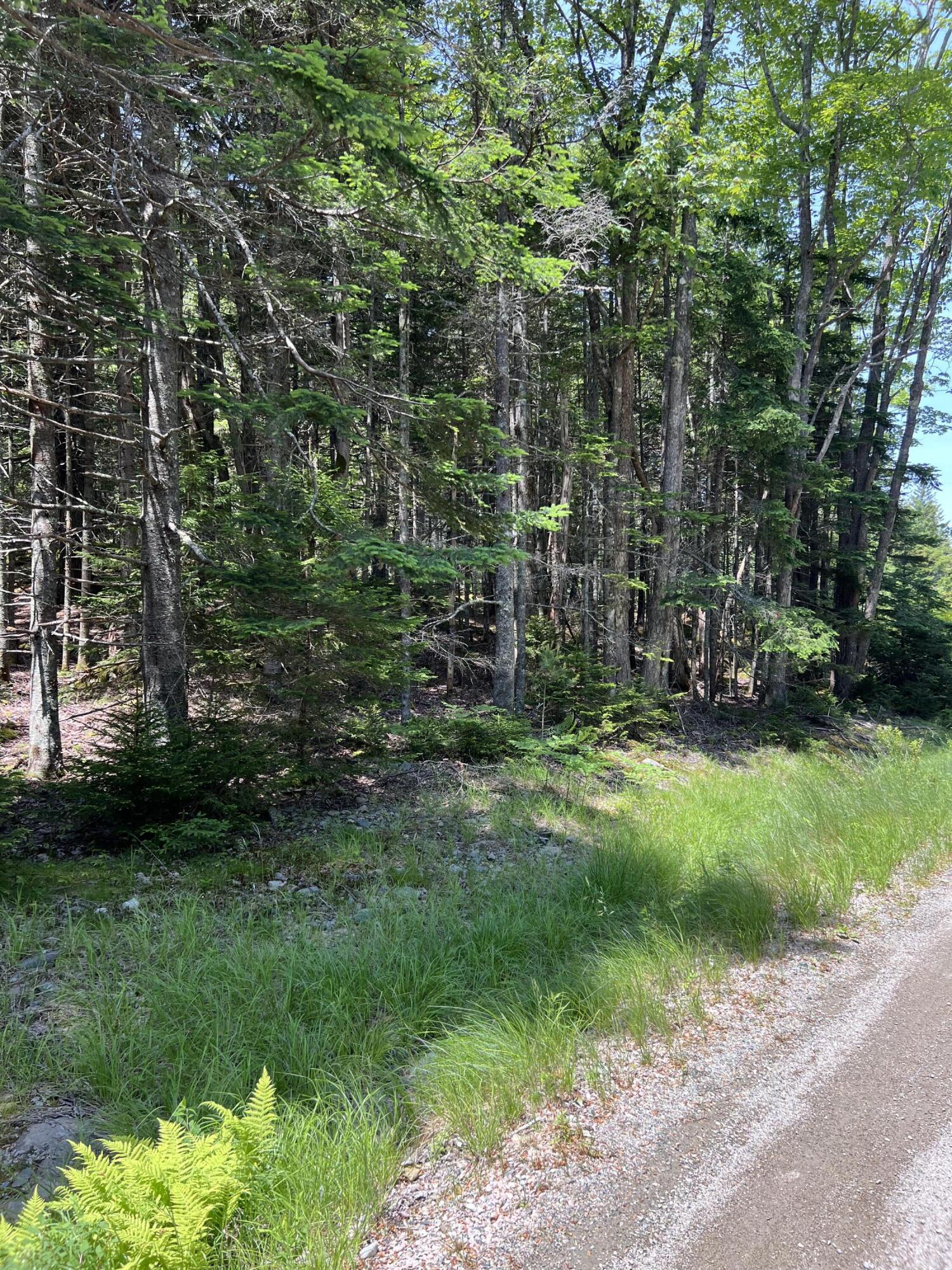45 Goose Pond Road Swans Island, ME 04685 - Photo 9 of 44 Beautiful Island Lot for Sale