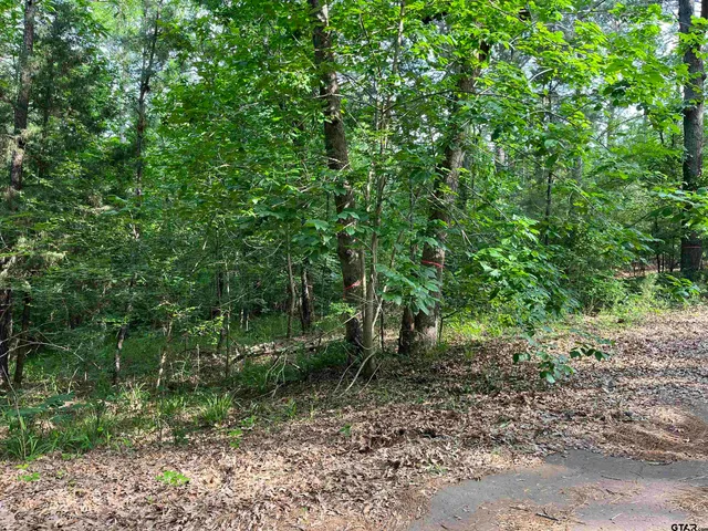 $15,000 | Lot 147 Silver Oaks Drive, Flint, TX 75762