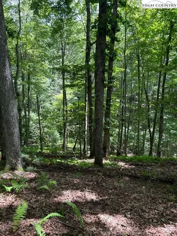 a view of outdoor space and trees