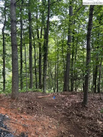 a view of outdoor space and green space
