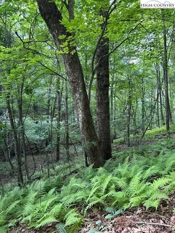 a view of outdoor space and green space