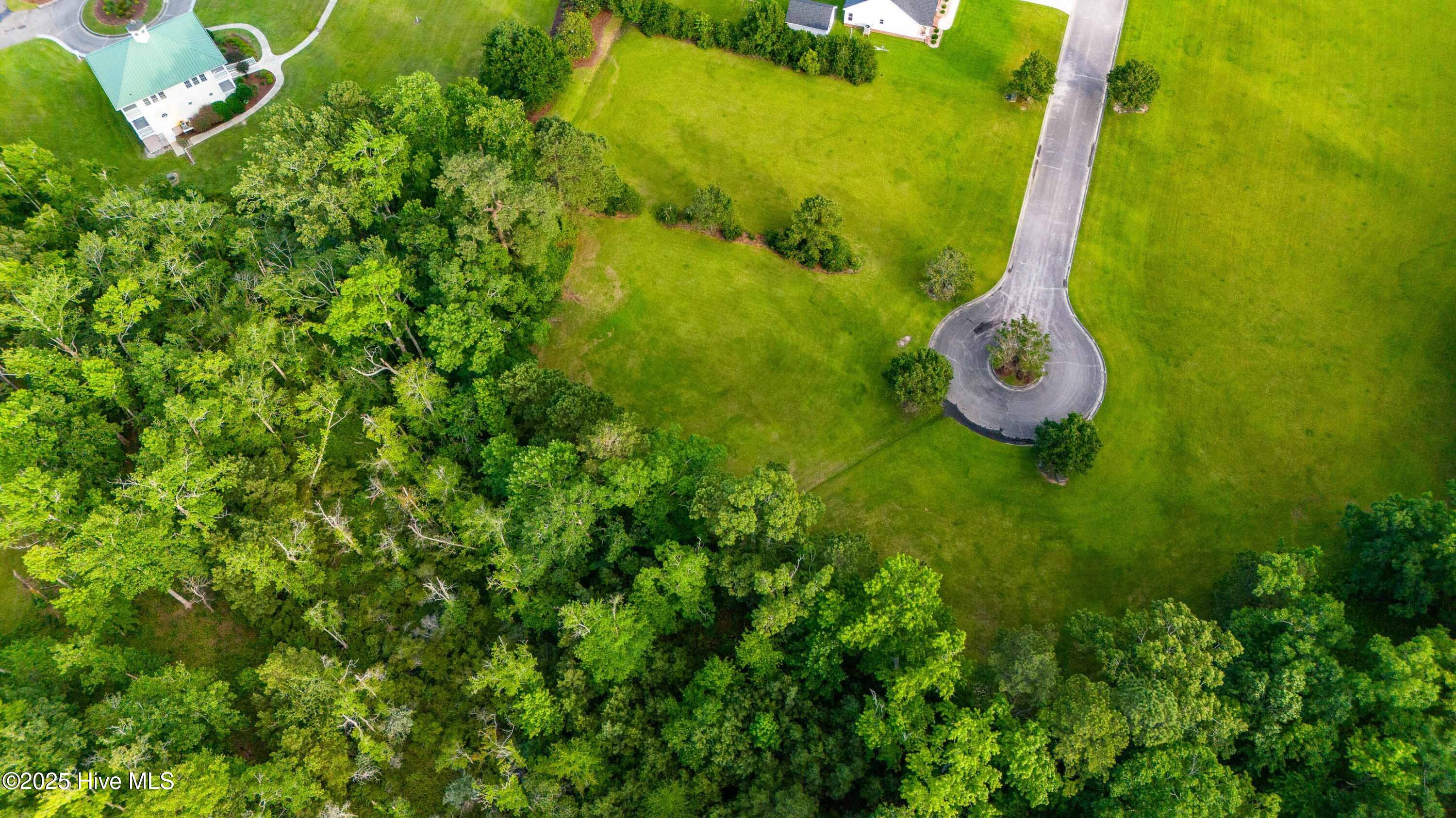 330 Southern Way Arapahoe, NC 28510 - Photo 10 of 16 010_Aerial