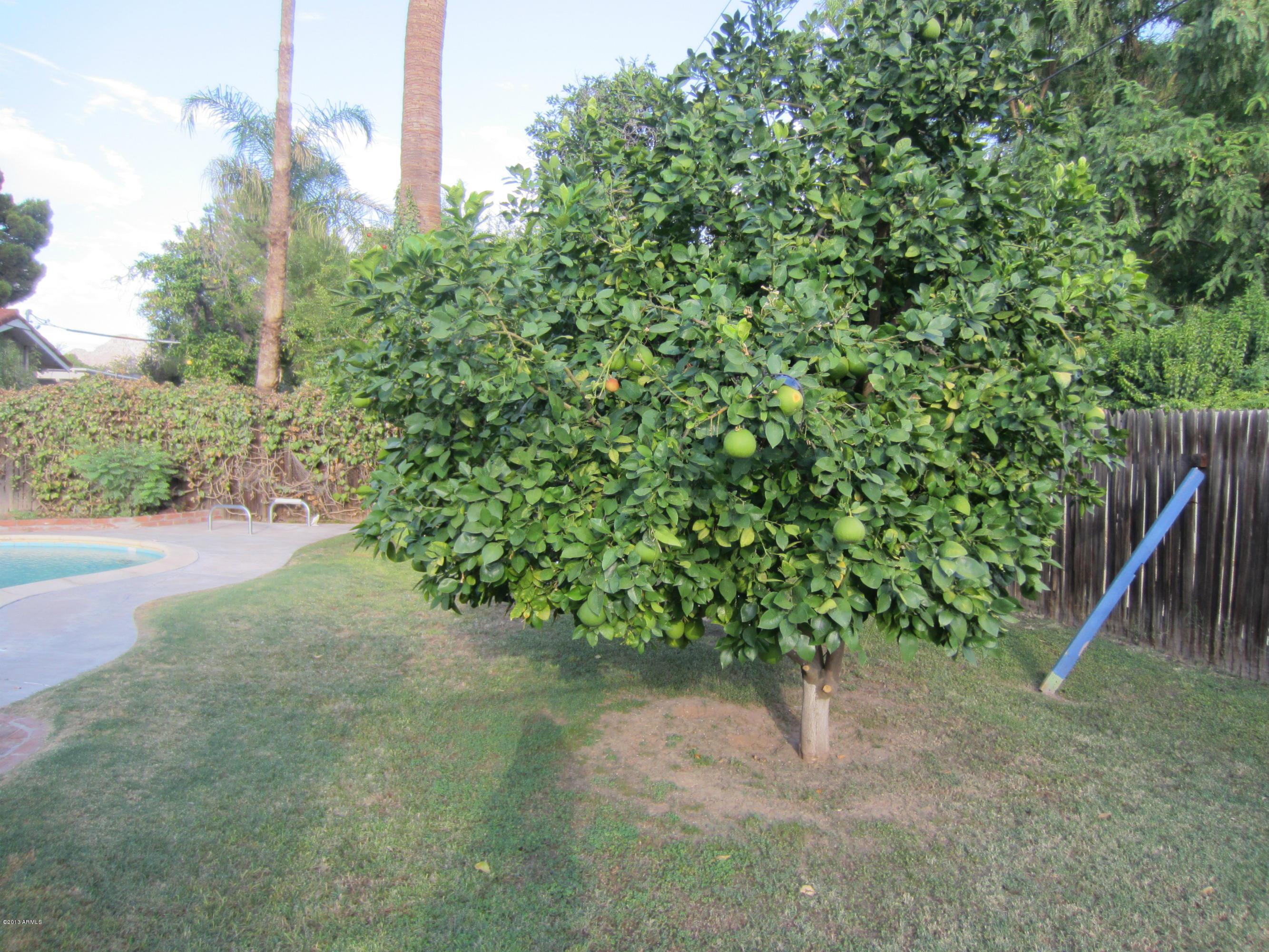 301 East Lamar Road Phoenix, AZ 85012 - Photo 22 of 33 301 E lamar 031