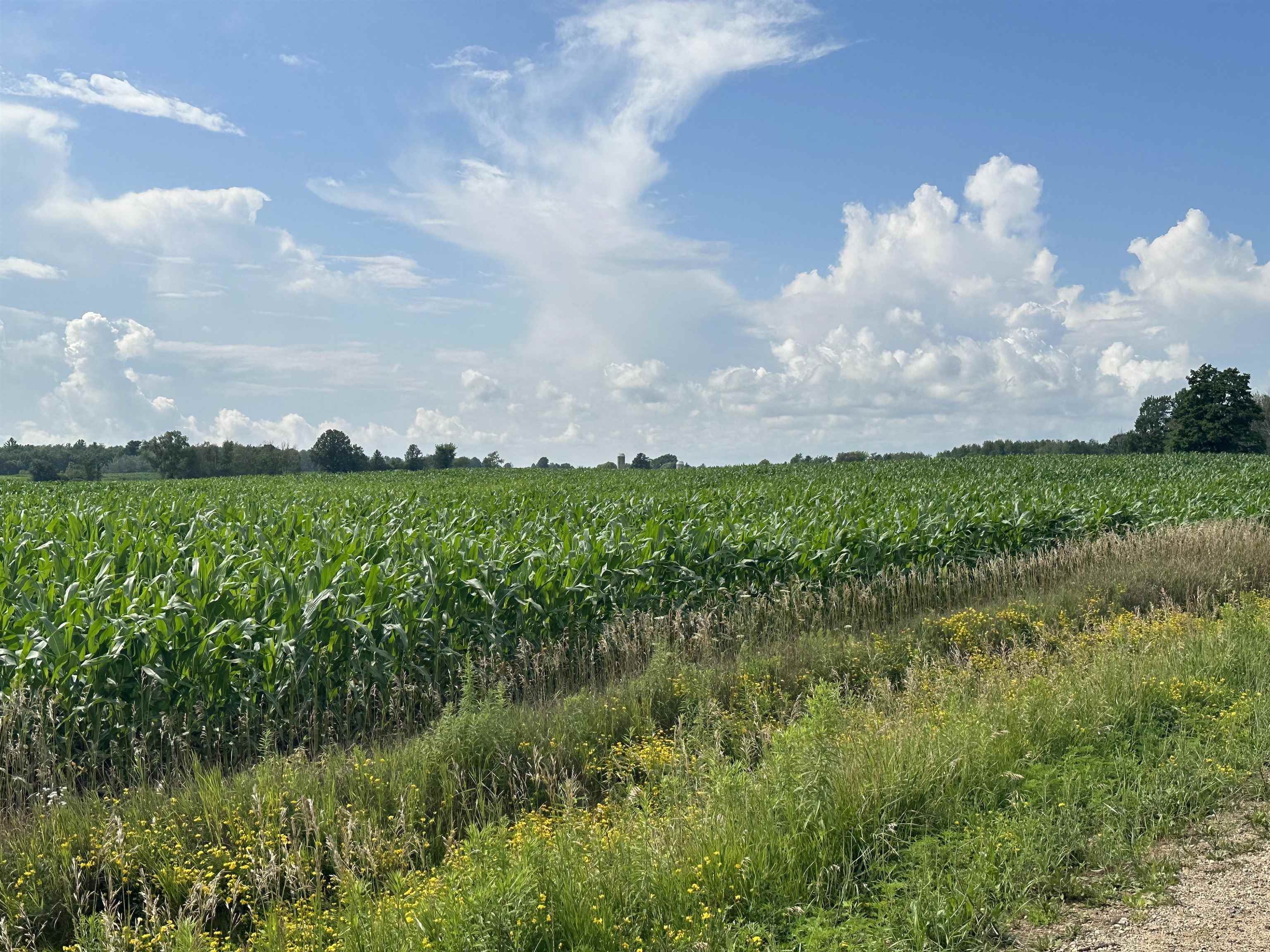 19 Mile Road Marion, MI 49665 - Photo 3 of 9