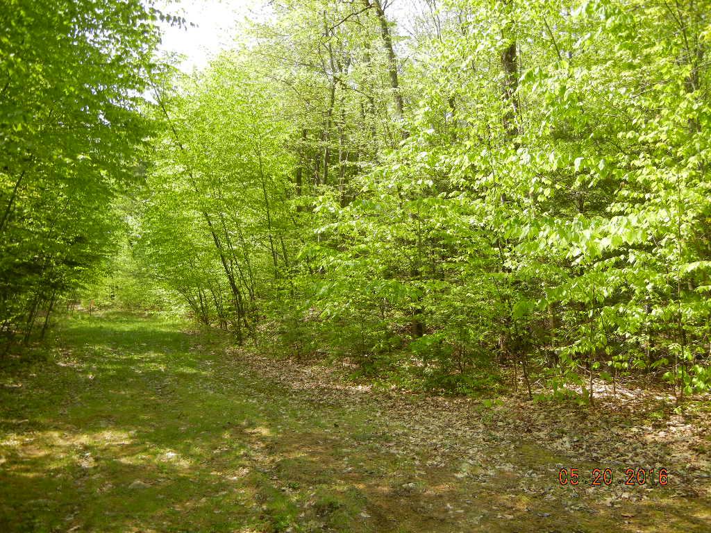 3 Wells Village Road Sandown, NH 03873 - Photo 8 of 14