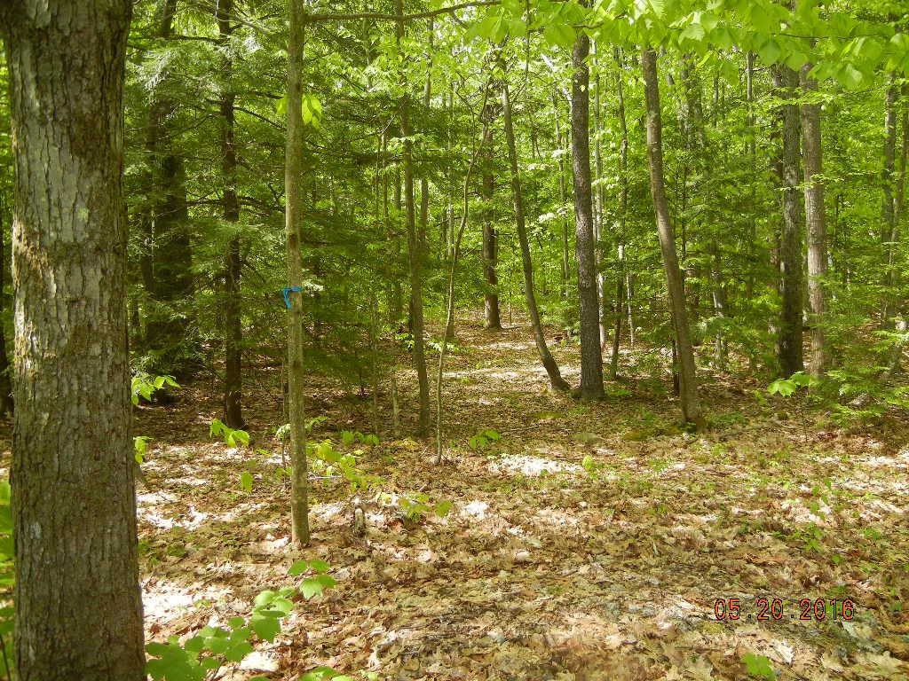3 Wells Village Road Sandown, NH 03873 - Photo 10 of 14