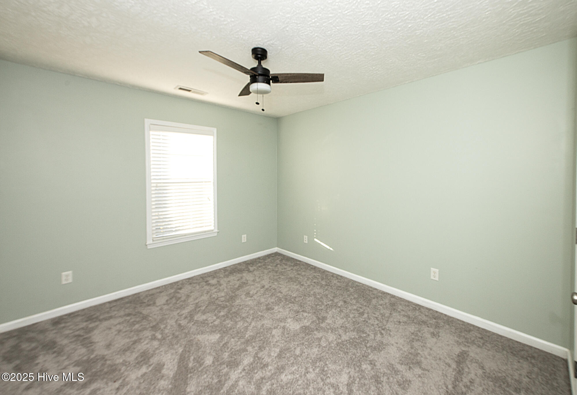 236 Red Carnation Drive Holly Ridge, NC 28445 - Photo 18 of 30 _DSC6332 copy