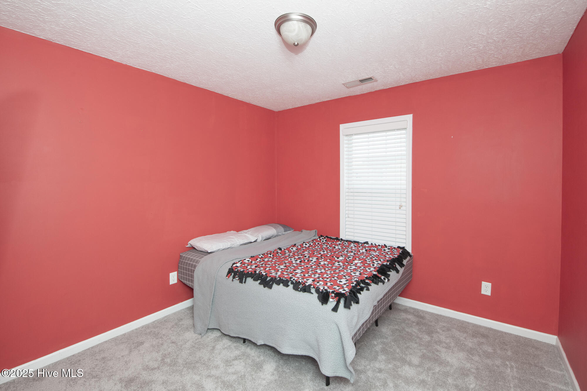 236 Red Carnation Drive Holly Ridge, NC 28445 - Photo 20 of 30 _DSC6338