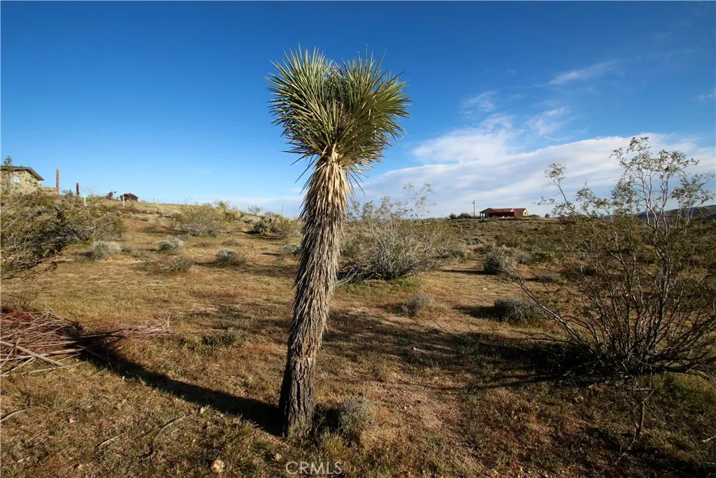 111 Perris Landers, CA 92285 - Photo 2 of 22 a view of a yard