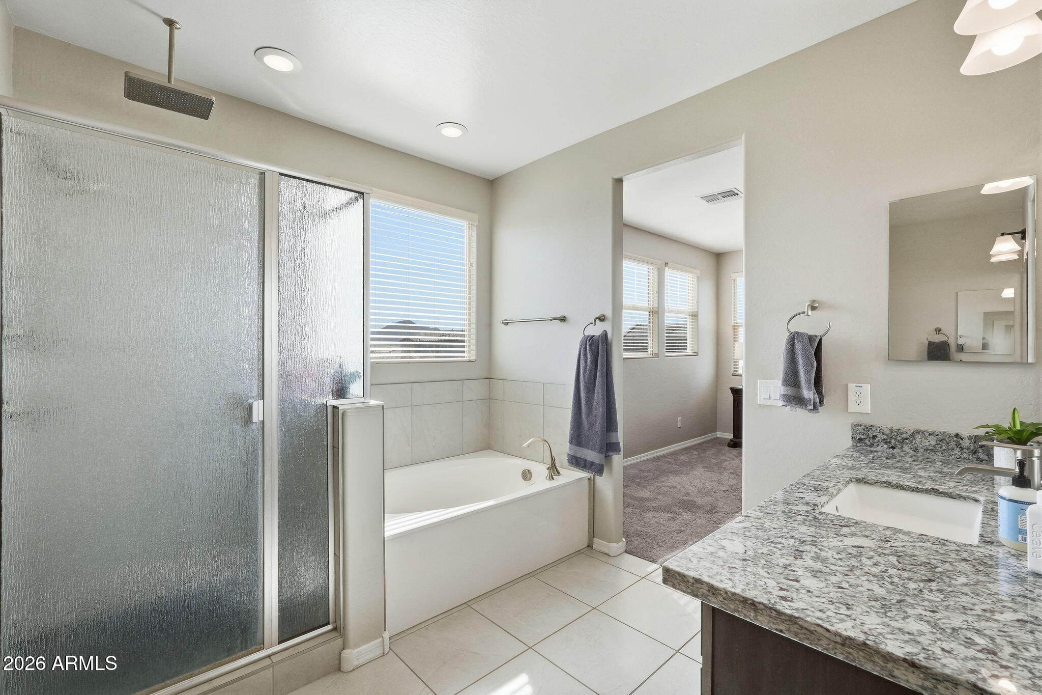 22621 East Mewes Road Queen Creek, AZ 85142 - Photo 34 of 49 034_ListerPros