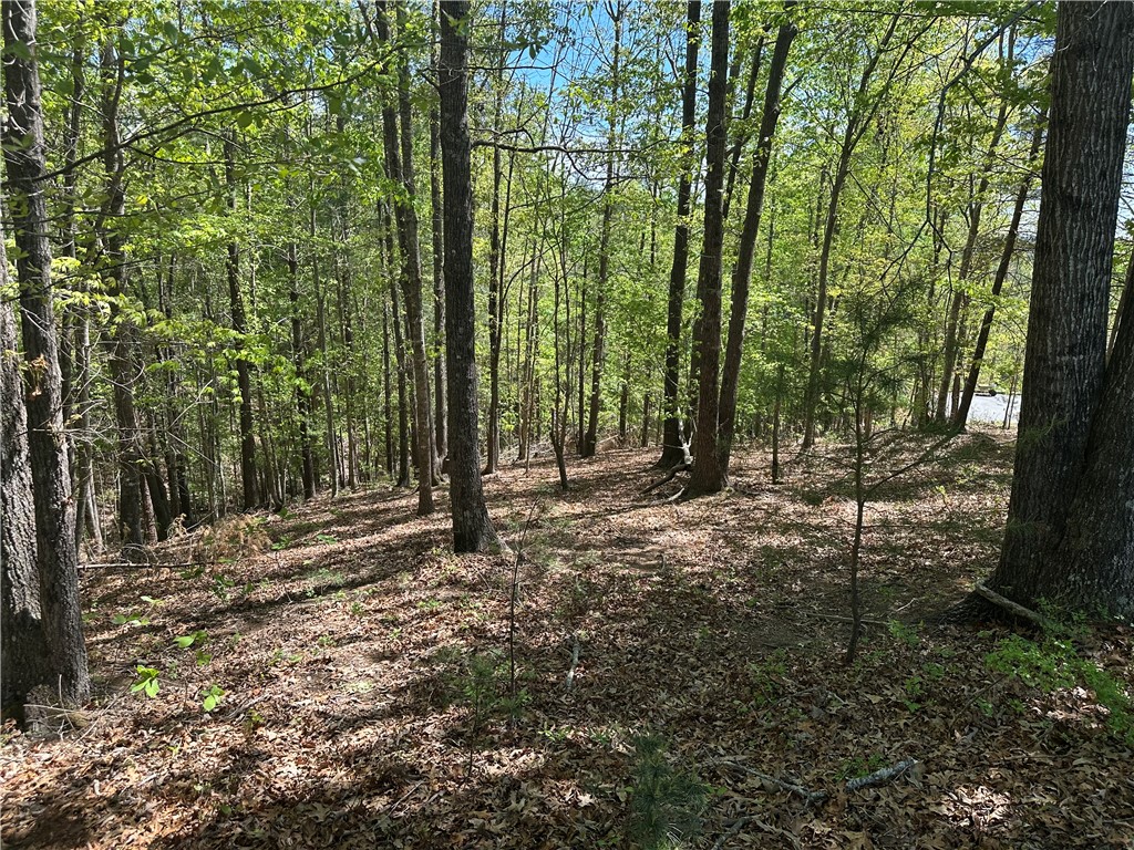 534 Ginseng Drive Sunset, SC 29685 - Photo 2 of 9