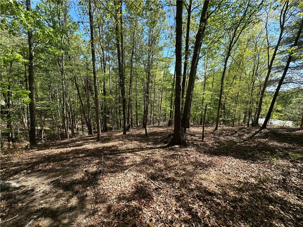 534 Ginseng Drive Sunset, SC 29685 - Photo 3 of 9