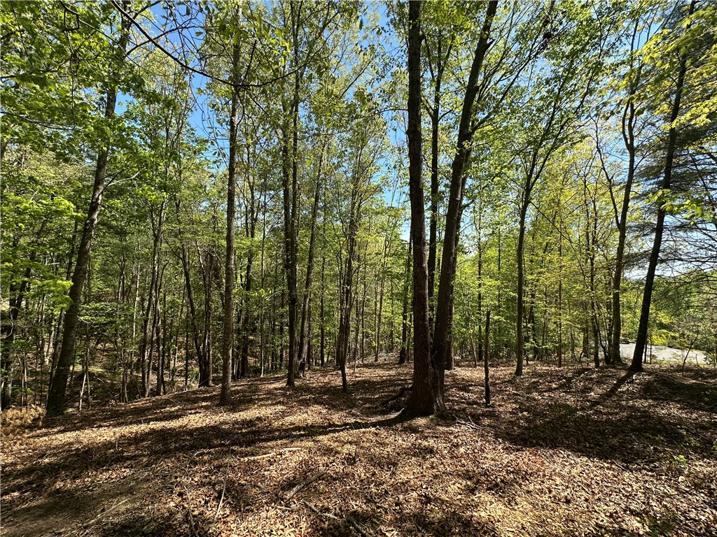 534 Ginseng Drive Sunset, SC 29685 - Photo 4 of 9