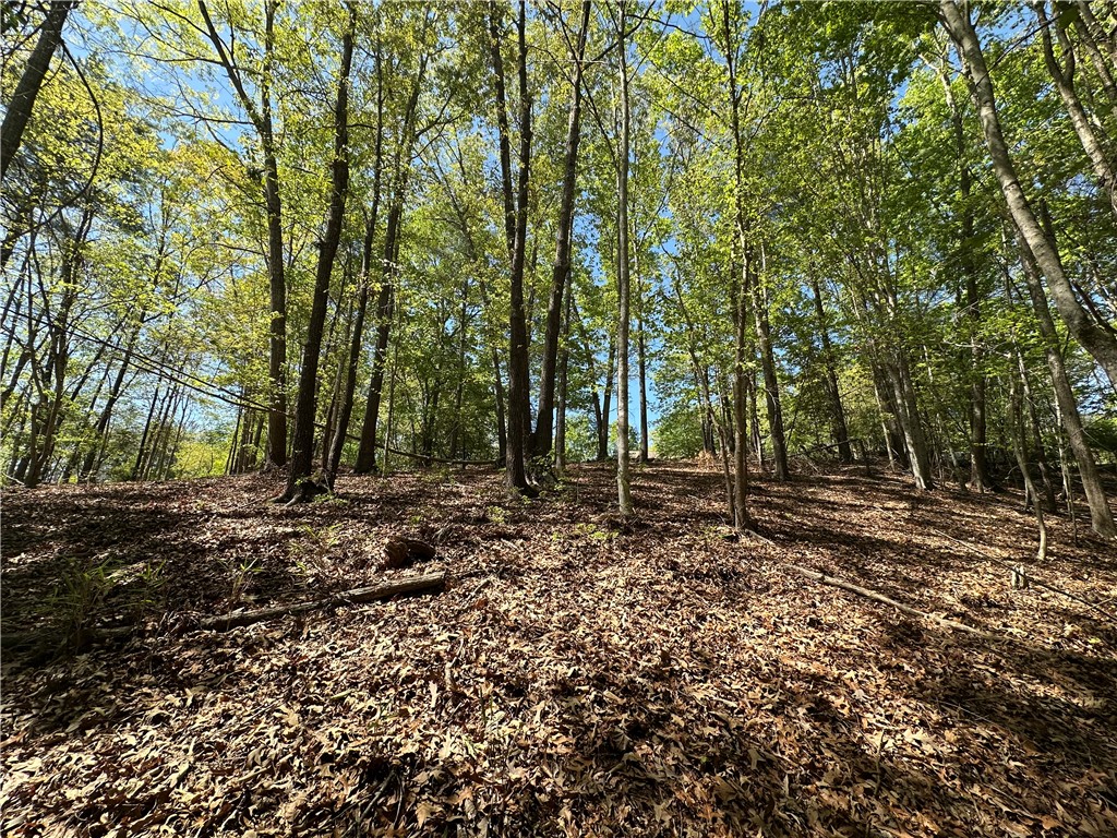 534 Ginseng Drive Sunset, SC 29685 - Photo 6 of 9