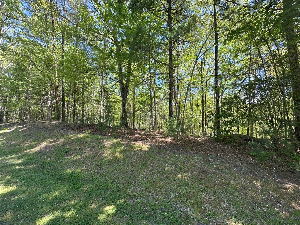534 Ginseng Drive Sunset, SC 29685 - Photo 8 of 9