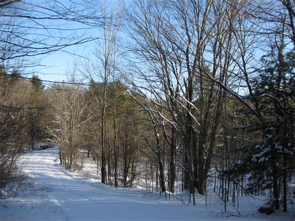 Lot 37 Clark Wright Road Huntington, MA 01050 - Photo 1 of 6 Gallery Image 1