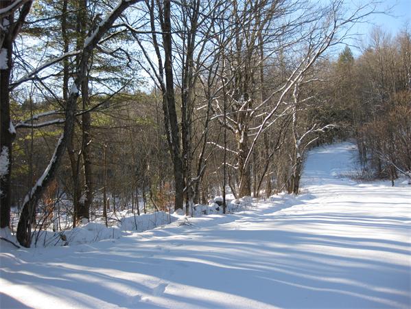 Lot 37 Clark Wright Road Huntington, MA 01050 - Photo 2 of 6 Gallery Image 2