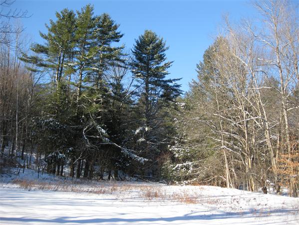 Lot 37 Clark Wright Road Huntington, MA 01050 - Photo 3 of 6 Gallery Image 3