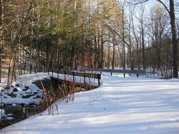 Lot 37 Clark Wright Road Huntington, MA 01050 - Photo 4 of 6 Gallery Image 4