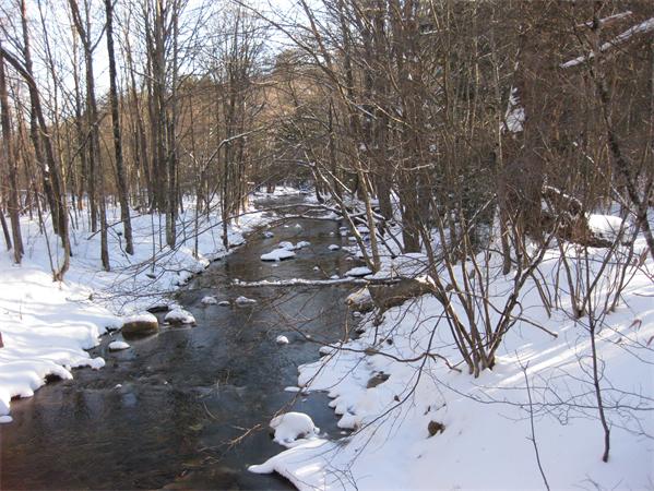 Lot 37 Clark Wright Road Huntington, MA 01050 - Photo 5 of 6 Gallery Image 5