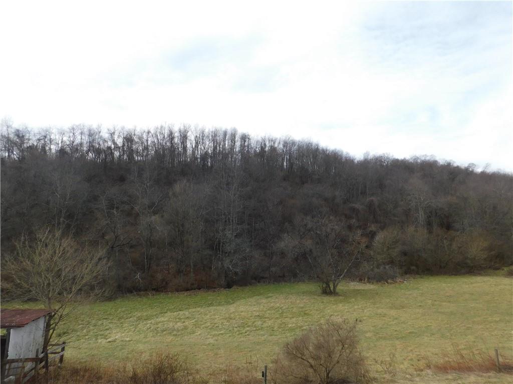 1964 Toms Run Road Holbrook, PA 15341 - Photo 4 of 41 Gallery Image 4