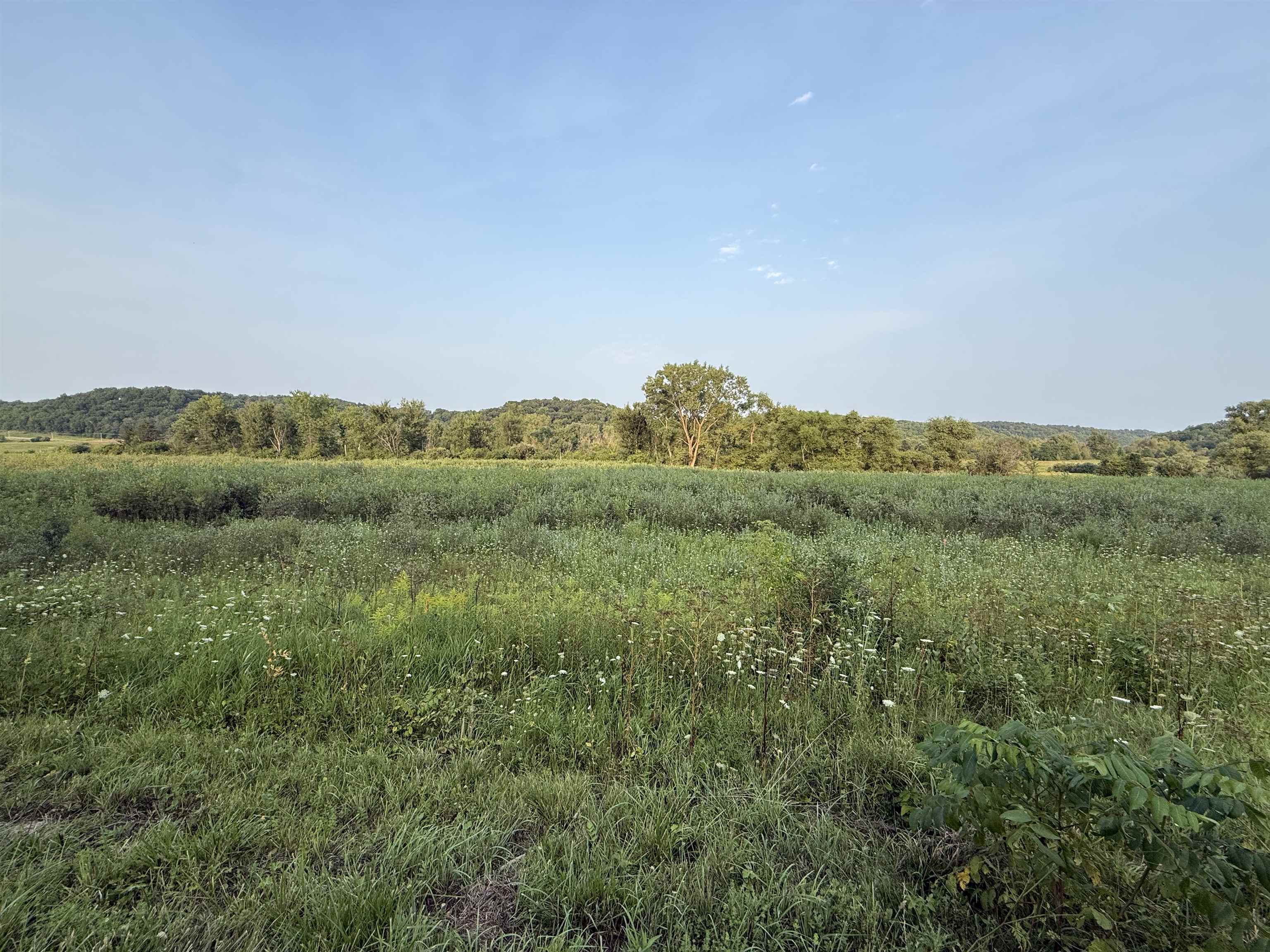 13-ac County Rd Jj Black Earth, WI 53515 - Photo 6 of 13 Gallery Image 6
