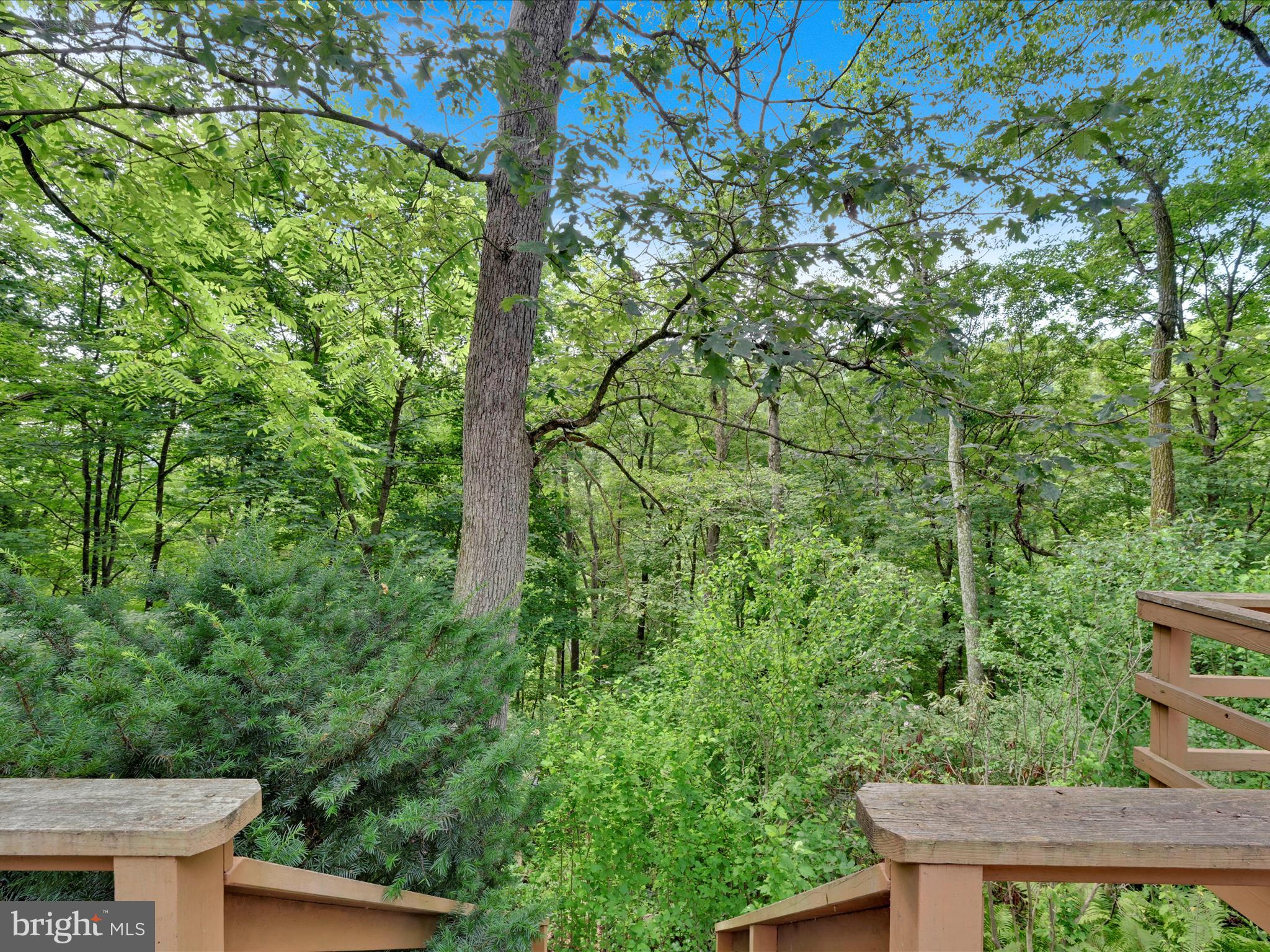 21 Blue Rocks Road Lenhartsville, PA 19534 - Photo 29 of 48 a view of a yard with plants