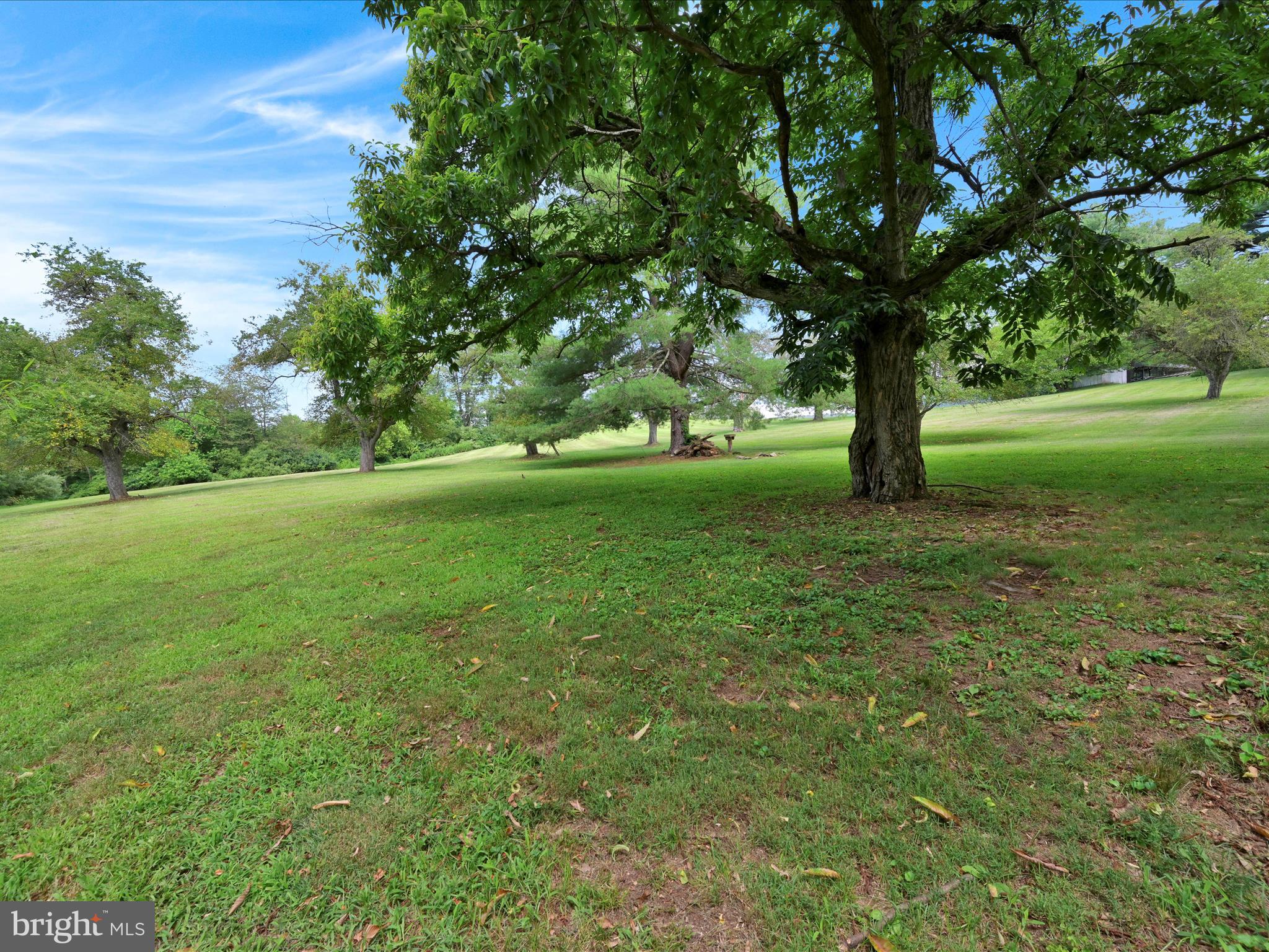 21 Blue Rocks Road Lenhartsville, PA 19534 - Photo 32 of 48 a view of a yard with a tree