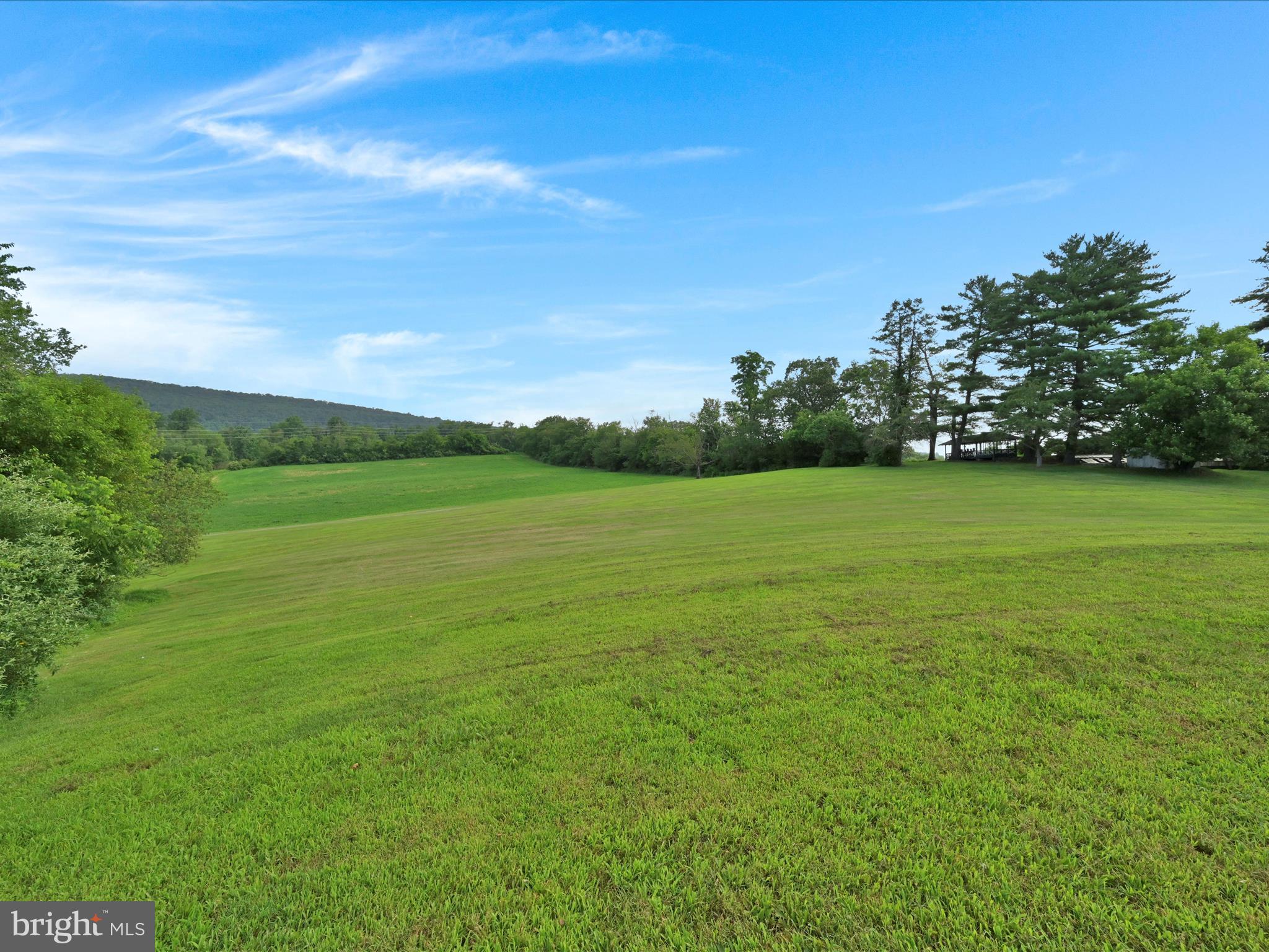 21 Blue Rocks Road Lenhartsville, PA 19534 - Photo 35 of 48 a view of a field with an trees in the background