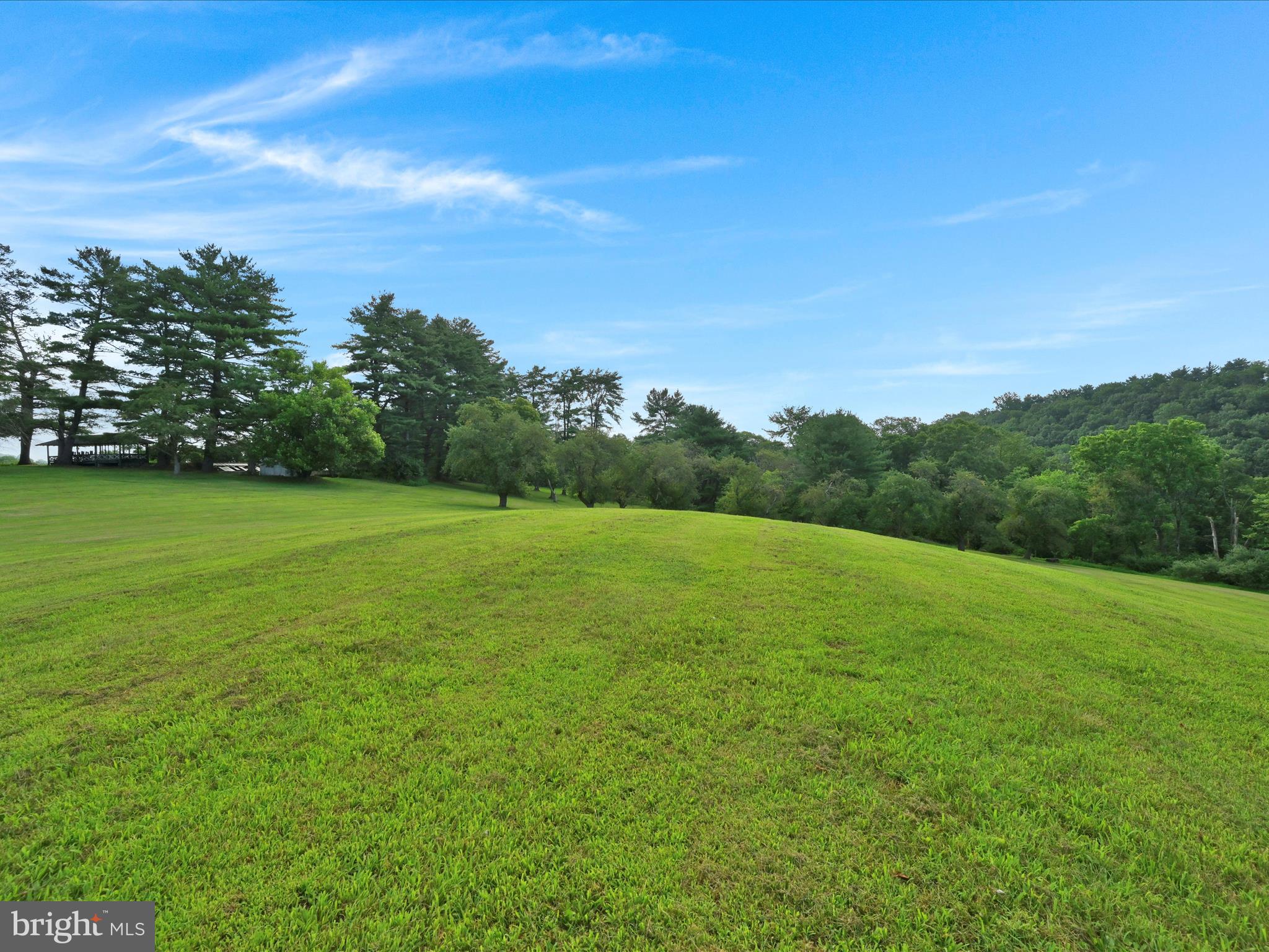 21 Blue Rocks Road Lenhartsville, PA 19534 - Photo 36 of 48 a view of a big yard with a large tree