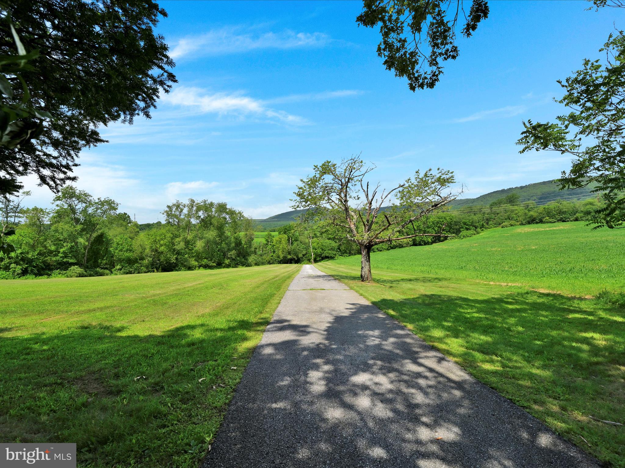 21 Blue Rocks Road Lenhartsville, PA 19534 - Photo 43 of 48 a view of a park with plants and trees