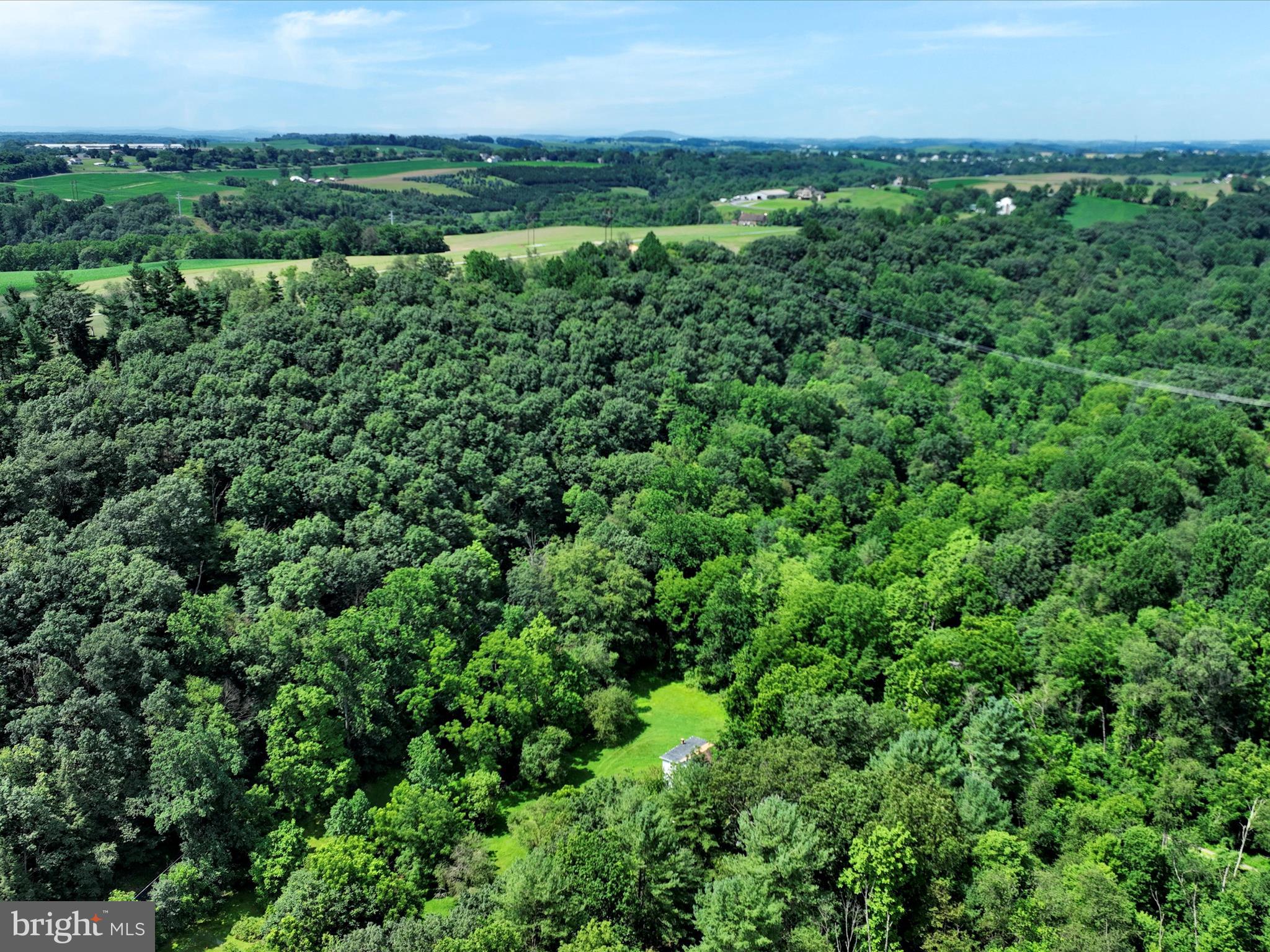 21 Blue Rocks Road Lenhartsville, PA 19534 - Photo 46 of 48 an aerial view of residential houses with outdoor space and trees