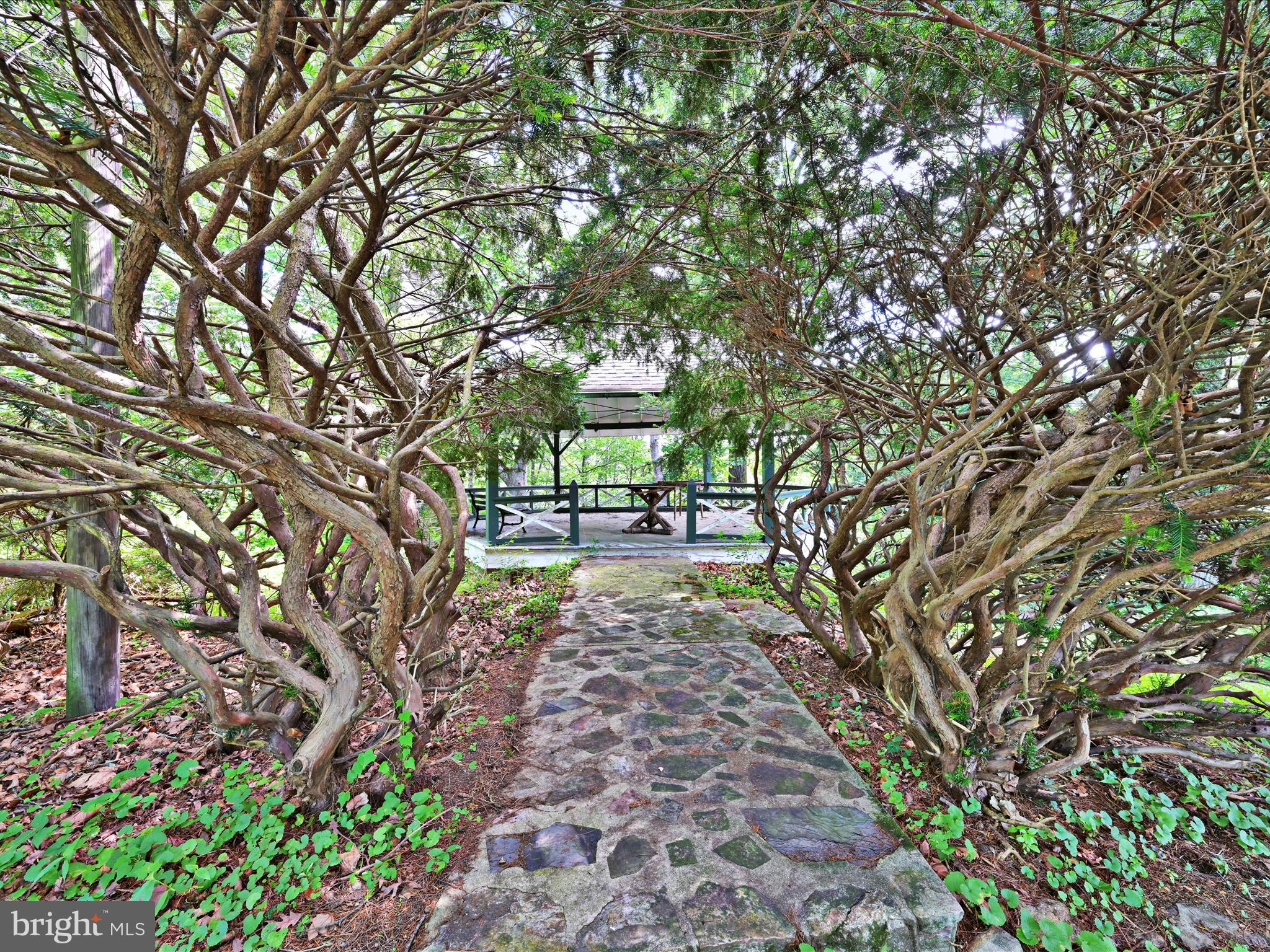 21 Blue Rocks Road Lenhartsville, PA 19534 - Photo 5 of 48 a view of a yard with plants and large trees