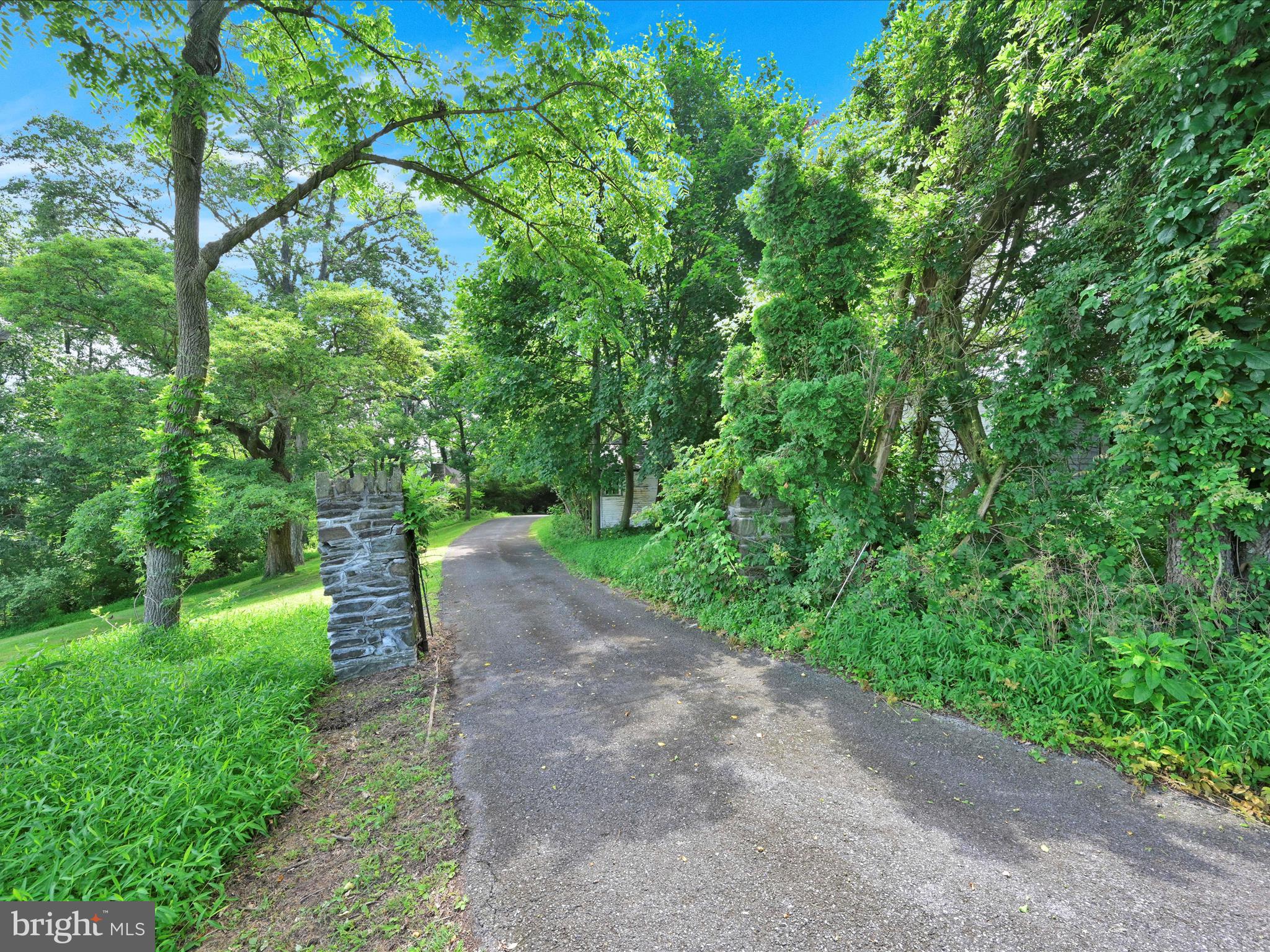 21 Blue Rocks Road Lenhartsville, PA 19534 - Photo 6 of 48 a view of a yard with plants and a large tree