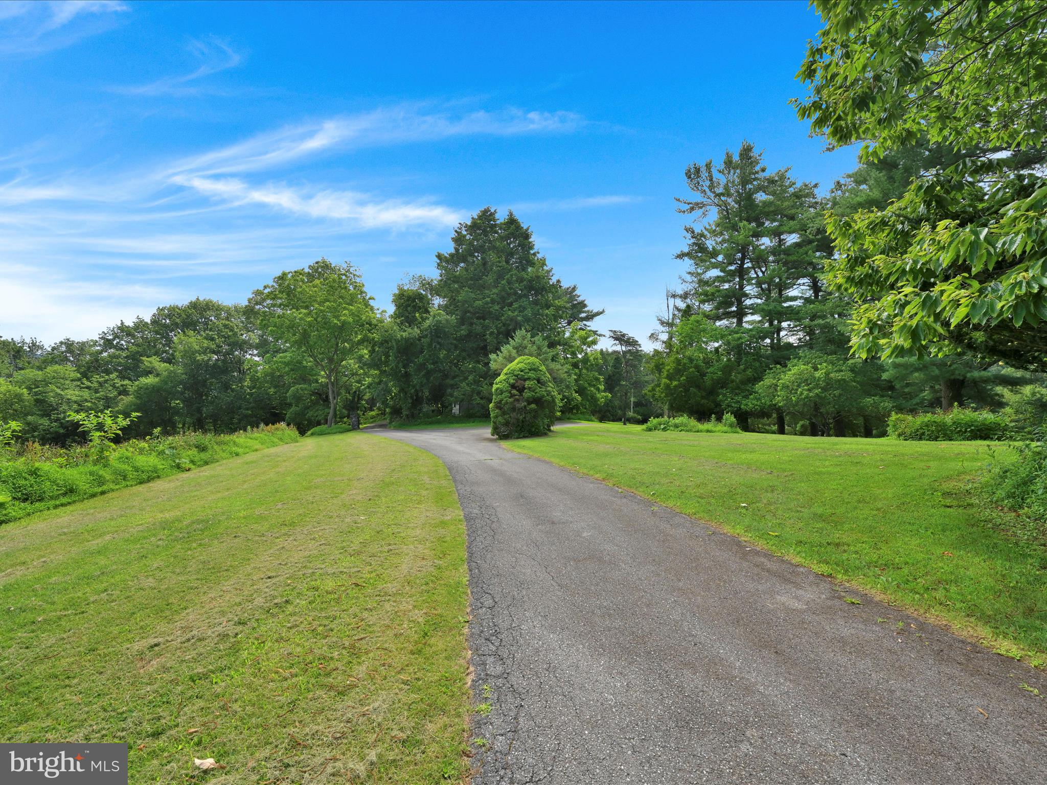 21 Blue Rocks Road Lenhartsville, PA 19534 - Photo 7 of 48 a view of a yard with a large trees