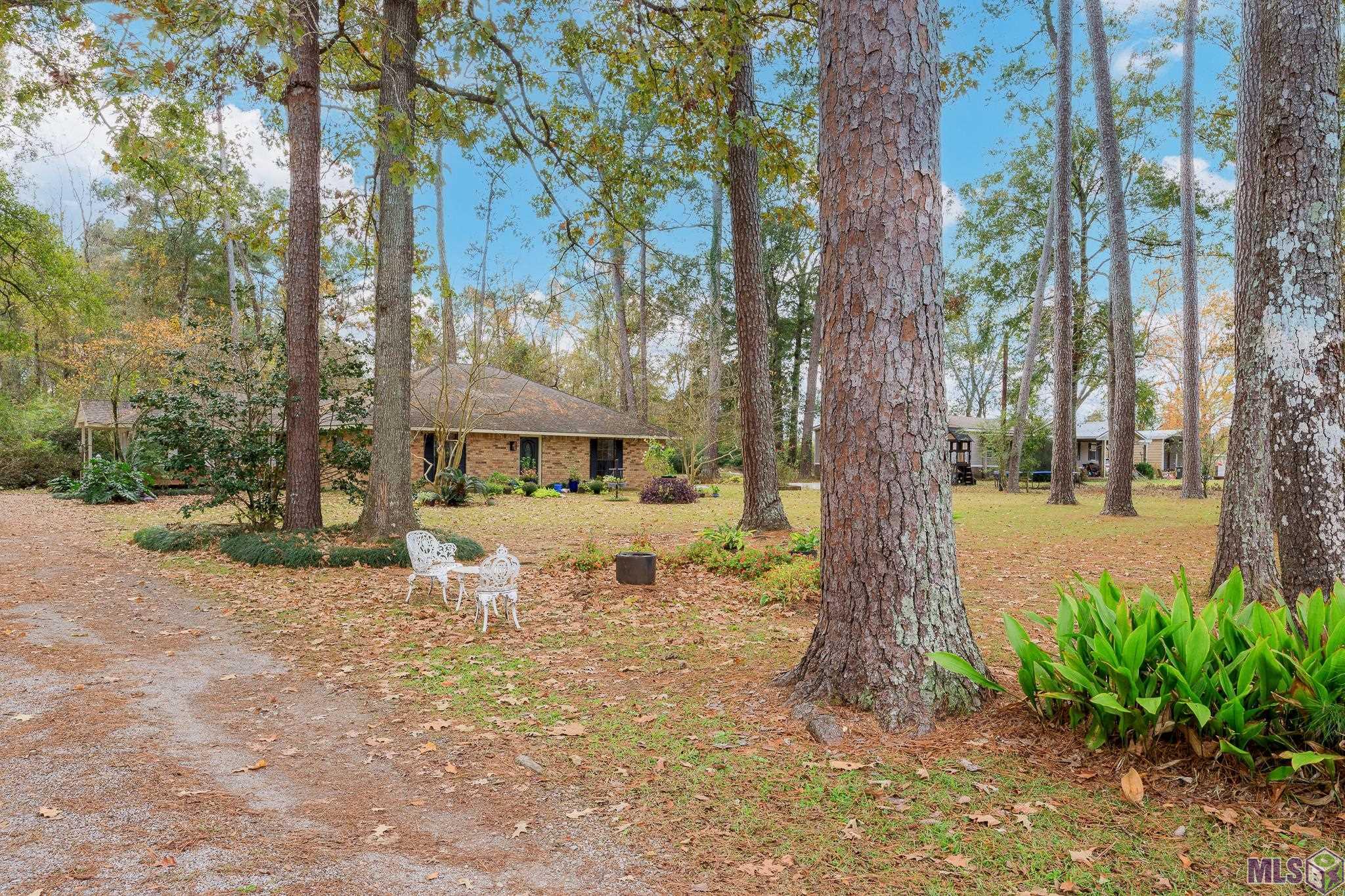 14050 Harry Savoy Road St. Amant, LA 70774 - Photo 29 of 31