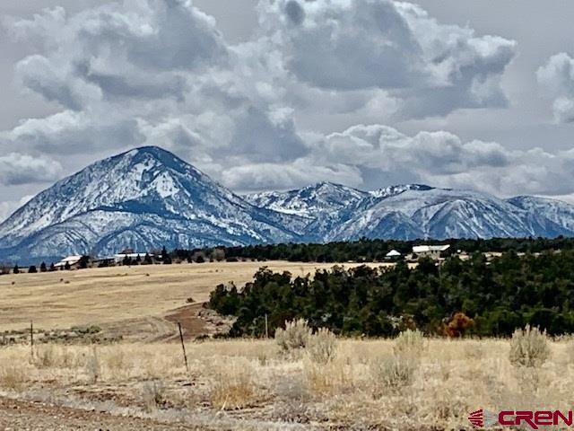 17.9 Road 17.9 Loop, Unit 9 Cortez, CO 81321 - Photo 11 of 12