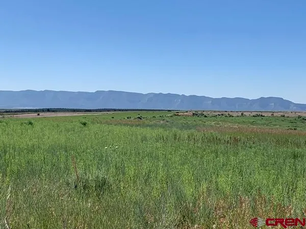 a view of a lush green field with lots of tall trees