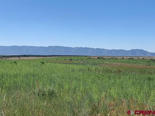 17.9 Road 17.9 Loop, Unit 9 Cortez, CO 81321 - Photo 2 of 12
