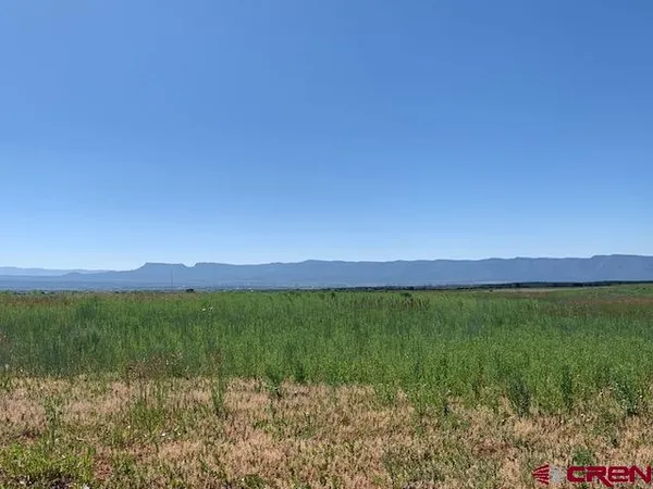 a view of a lush green outdoor space with a swimming pool and valleys in the background
