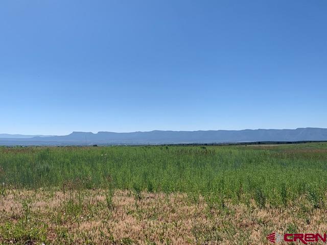17.9 Road 17.9 Loop, Unit 9 Cortez, CO 81321 - Photo 4 of 12