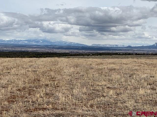 17.9 Road 17.9 Loop, Unit 9 Cortez, CO 81321 - Photo 9 of 12