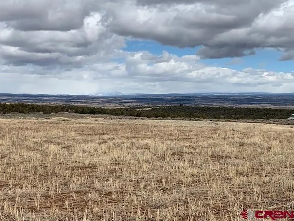 a view of a yard covered in snow