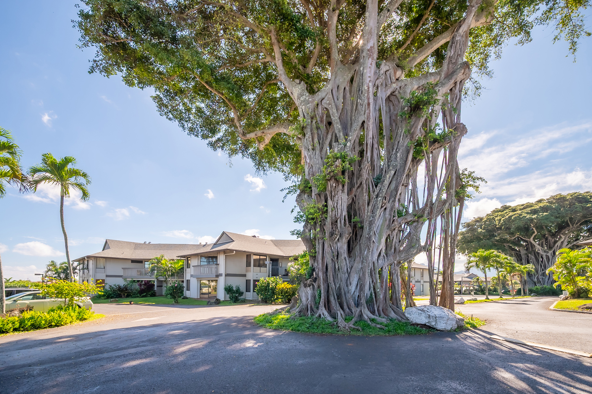 4121 Rice Street, Unit 107 Lihue, HI 96766 - Photo 26 of 27